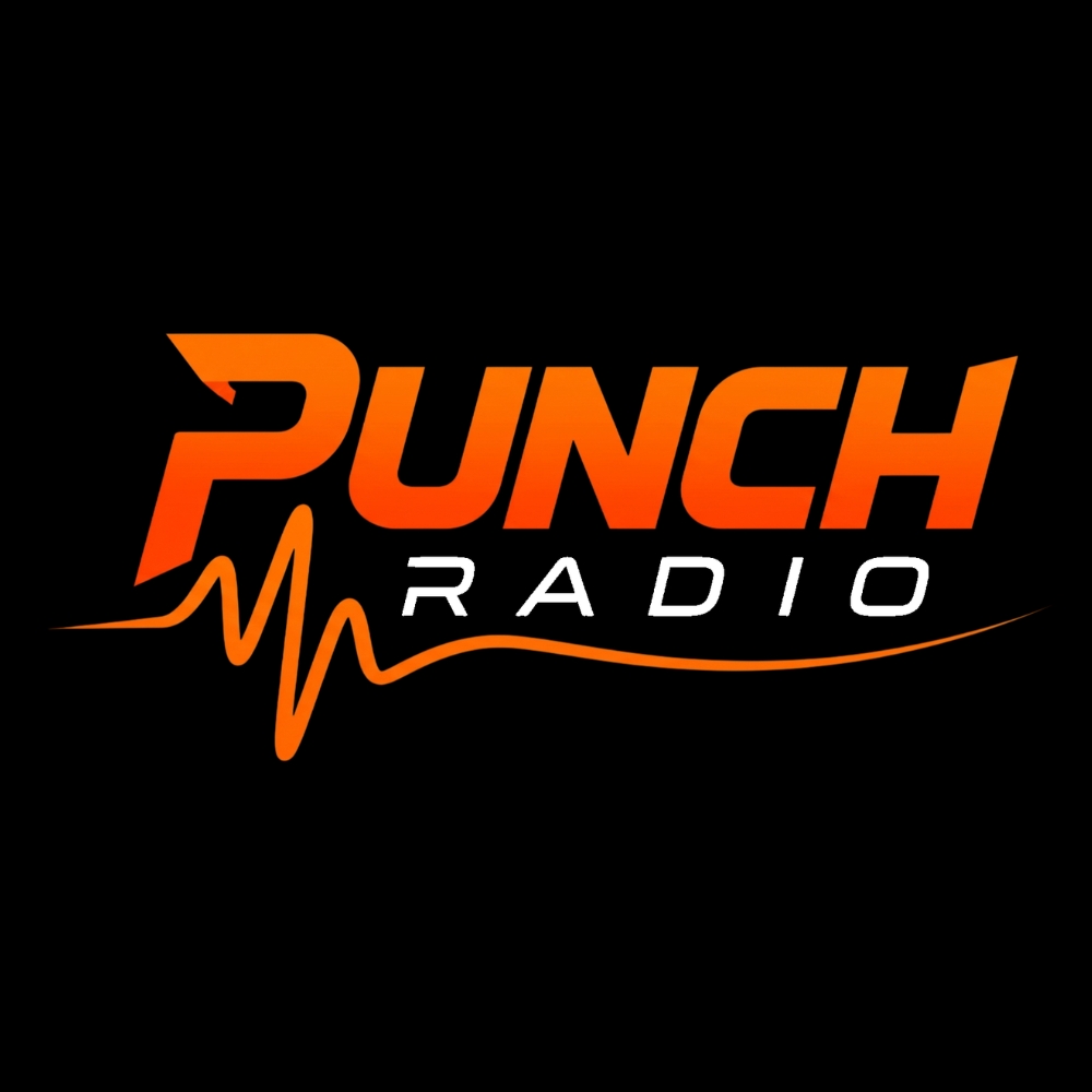 Logo Punch-Radio